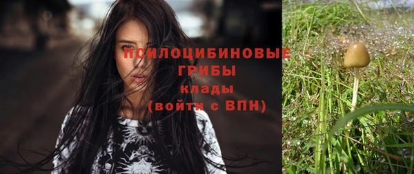каннабис Бородино