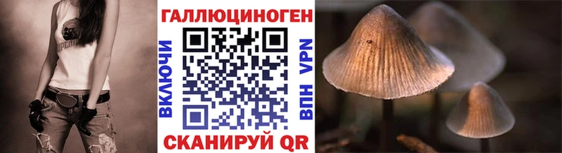 купить наркоту  Валдай  Псилоцибиновые грибы GOLDEN TEACHER 